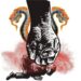 GOBERNADORES: ANECDOTICOS Y SOMETIDOS AL PRESIDENCIALISMO
