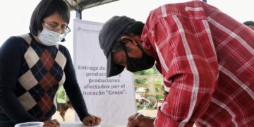 SIN DEUDAS NI INTERMEDIARIOS, GOBIERNO MANTIENE DESPLIEGUE HUMANITARIO EN MUNICIPIOS AFECTADOS POR “GRACE”: MBH
