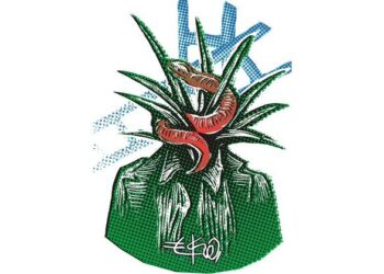 ENTRE BODAS, SUCESION Y VISCERAS TROPICALES