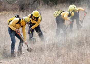 Mejora capacidades Medio Ambiente para atender incendios forestales