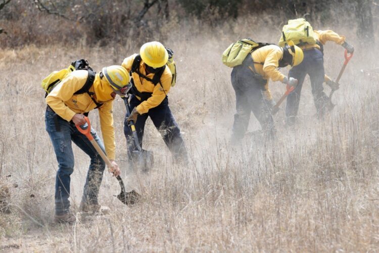 Mejora capacidades Medio Ambiente para atender incendios forestales