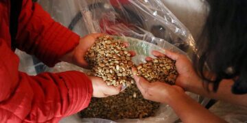 Con subasta internacional, SDR posiciona y fortalece al café poblano