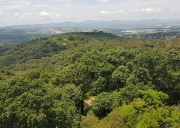 Reafirma gobierno estatal compromiso con medio   ambiente; protege 859 hectáreas más en “Flor del Bosque”