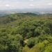Reafirma gobierno estatal compromiso con medio   ambiente; protege 859 hectáreas más en “Flor del Bosque”