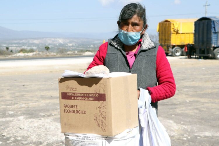 En 2022, Gobierno de Puebla fortalece a productores con paquetes tecnológicos