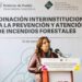 FORTALECE GOBIERNO DE PUEBLA ESTRATEGIAS PARA CUIDAR MEDIO AMBIENTE Y COMBATIR INCENDIOS FORESTALES