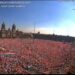 Movilización Ciudadana en el Zócalo