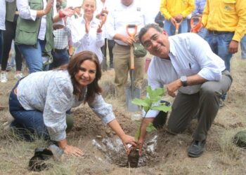 Inicia Gobierno de Puebla programa de reforestación en parque estatal “Flor del Bosque”
