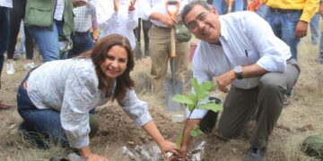Inicia Gobierno de Puebla programa de reforestación en parque estatal “Flor del Bosque”
