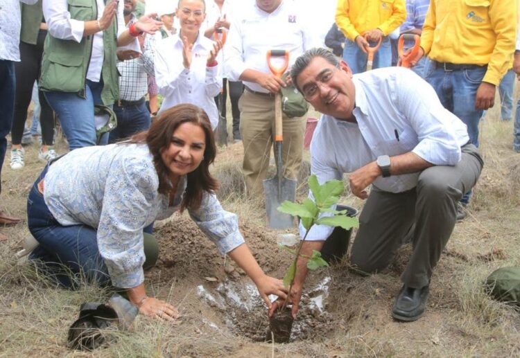 Inicia Gobierno de Puebla programa de reforestación en parque estatal “Flor del Bosque”