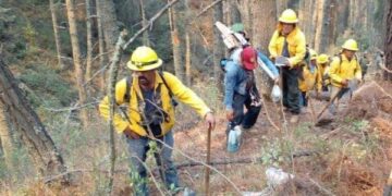 Intervienen tres órdenes de gobierno para liquidar incendio en Libres