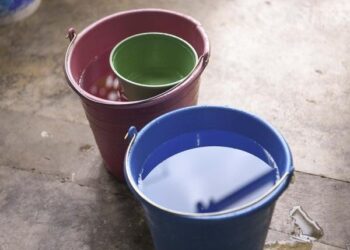 Sin contagios ni defunciones recientes por dengue en Puebla: Salud