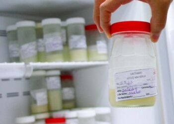 Impulsa Salud donación de leche materna para recién nacidos