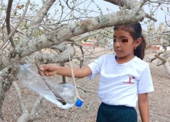 ELABORAN NIÑAS Y NIÑOS BEBEDEROS PARA AVES CON MATERIAL RECICLABLE