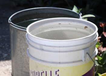 Puebla, con 23 personas hospitalizadas por dengue: Salud