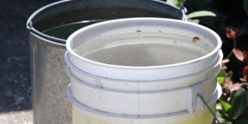 Puebla, con 23 personas hospitalizadas por dengue: Salud