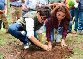 Inicia gobierno estatal entrega de 1 millón 600 mil plantas en la Sierra Norte