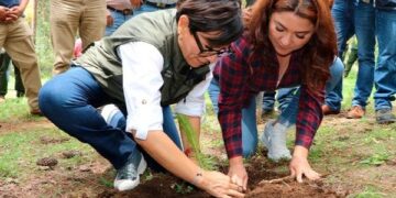 Inicia gobierno estatal entrega de 1 millón 600 mil plantas en la Sierra Norte
