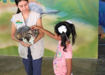 DISFRUTA DE MÁS DE 100 ESPECIES EN EL ZOOLÓGICO TAMATÁN ESTAS VACACIONES
