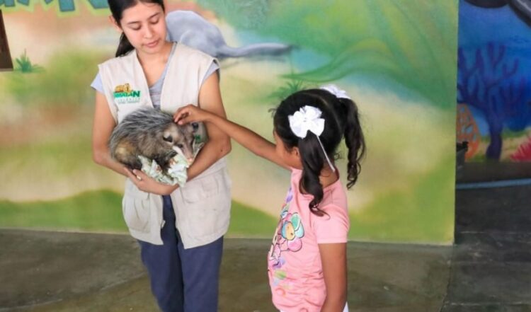 DISFRUTA DE MÁS DE 100 ESPECIES EN EL ZOOLÓGICO TAMATÁN ESTAS VACACIONES