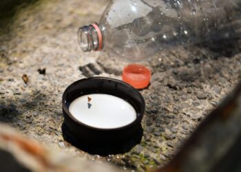 Registra Salud seis personas hospitalizadas por dengue