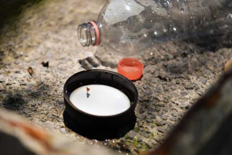 Registra Salud seis personas hospitalizadas por dengue