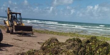 CONTRIBUYE TURISMO CON MAQUINARIA PARA LIMPIEZA DE LIRIO EN PLAYA MIRAMAR
