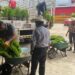 Entrega gobierno estatal 3 millones 484 mil plantas para reforestación