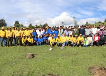Recibirá ecorregión Valles Centrales más de 970 mil plantas para reforestar: Medio Ambiente