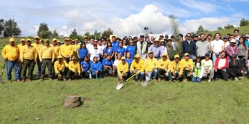 Recibirá ecorregión Valles Centrales más de 970 mil plantas para reforestar: Medio Ambiente