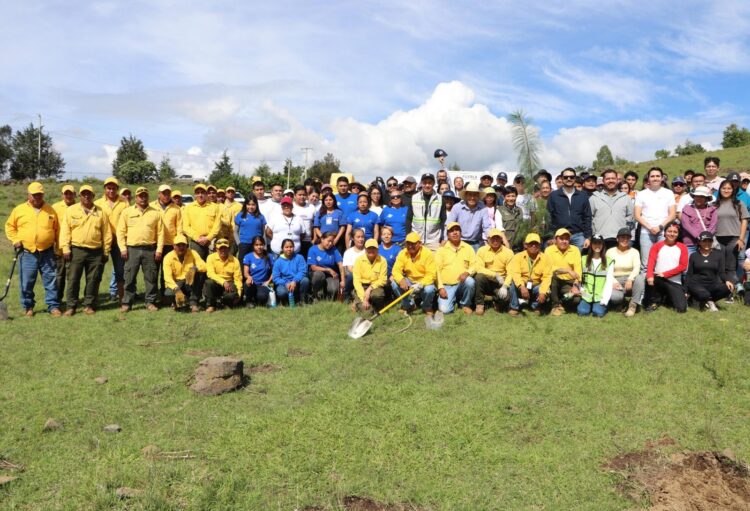 Recibirá ecorregión Valles Centrales más de 970 mil plantas para reforestar: Medio Ambiente