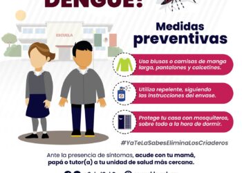 En 2024, acumula Puebla mil 063 contagios por dengue: Salud