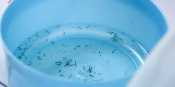 Reporta Salud tres nuevas hospitalizaciones por dengue en Puebla