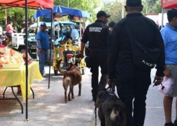 Guardia Estatal redobla vigilancia durante festejos patrios