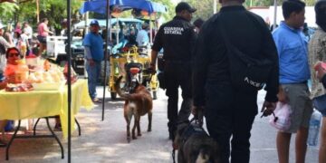 Guardia Estatal redobla vigilancia durante festejos patrios