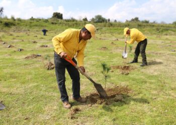 CUMPLE GOBIERNO DE SERGIO SALOMÓN META DEL PLAN REFORESTACIÓN