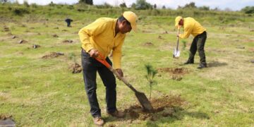 CUMPLE GOBIERNO DE SERGIO SALOMÓN META DEL PLAN REFORESTACIÓN