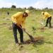 CUMPLE GOBIERNO DE SERGIO SALOMÓN META DEL PLAN REFORESTACIÓN