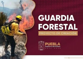 Prevención y combate de incendios, tareas de la Guardia Forestal del Estado