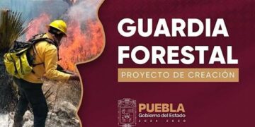 Prevención y combate de incendios, tareas de la Guardia Forestal del Estado