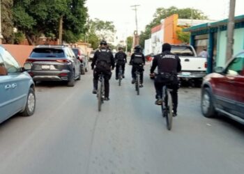 Mantiene Grupo Delfines de la Guardia Estatal proximidad en áreas naturales y comerciales