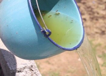 En Puebla, tres contagios por dengue en las últimas 24 horas: Salud