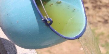 En Puebla, tres contagios por dengue en las últimas 24 horas: Salud