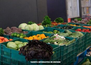 Bienestar reconoce sinergia entre organismos para combatir la inseguridad alimentaria