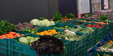 Bienestar reconoce sinergia entre organismos para combatir la inseguridad alimentaria