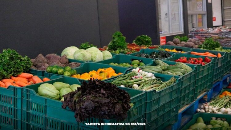 Bienestar reconoce sinergia entre organismos para combatir la inseguridad alimentaria