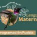 Con actividades gratuitas Secretaría de Arte y Cultura conmemora el Día de las Lenguas Maternas