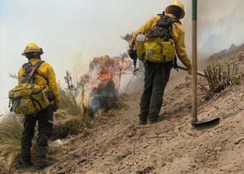 Continúa gobierno estatal trabajos de combate de incendios forestales