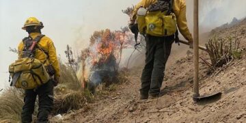 Continúa gobierno estatal trabajos de combate de incendios forestales