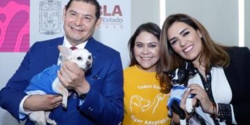Bienestar Animal y municipios trabajan para proteger a seres sintientes